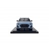 Audi RS 6 (C8) AVANT Frosted Blue 2020 Audi - 5