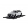 Audi RS 6 (C8) AVANT Suzuka Grey 2020 Audi - 1